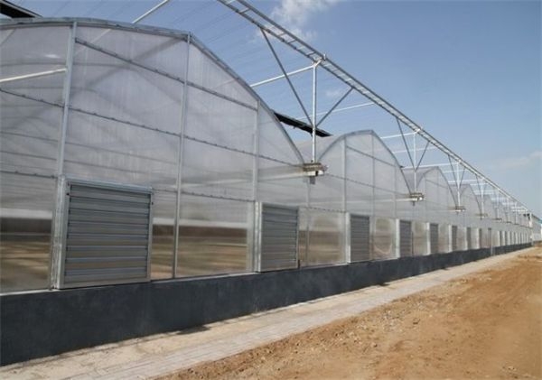 山東連棟薄膜大棚建設廠家