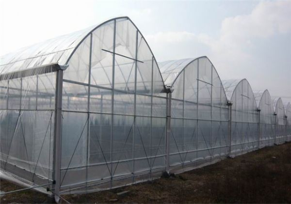 山東連棟薄膜大棚建設(shè)廠家