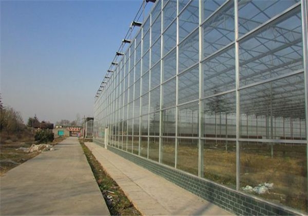 山東連棟薄膜大棚建設廠家