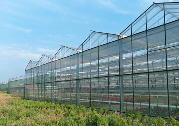 山東玻璃溫室廠家