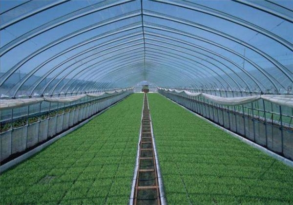 山東溫室大棚廠家