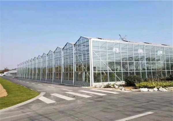 山東智能溫室大棚廠家