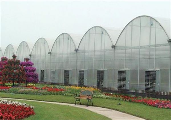 山東溫室大棚廠家