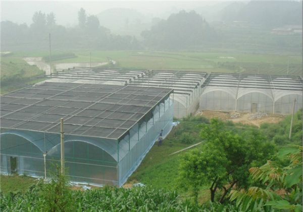 山東溫室大棚廠(chǎng)家